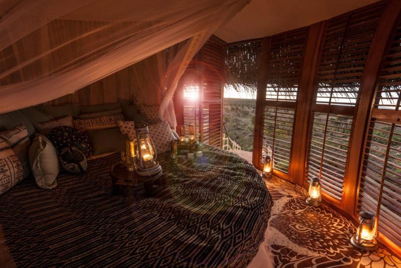  Гости могут переночевать на этой единственной в своем роде вилле Bird Nest в отеле Segera Retreat в Кении. # Путешествие # Отель # Кения # Архитектура 