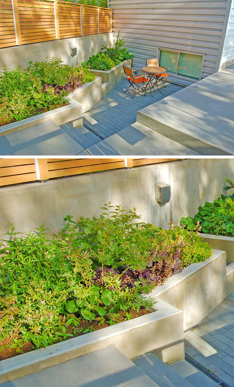 10 вдохновляющих идей для включения нестандартных бетонных горшков в ваш двор // Большие встраиваемые бетонные цветочные горшки обрамляют небольшой внутренний дворик и обеспечивают место для зелени.