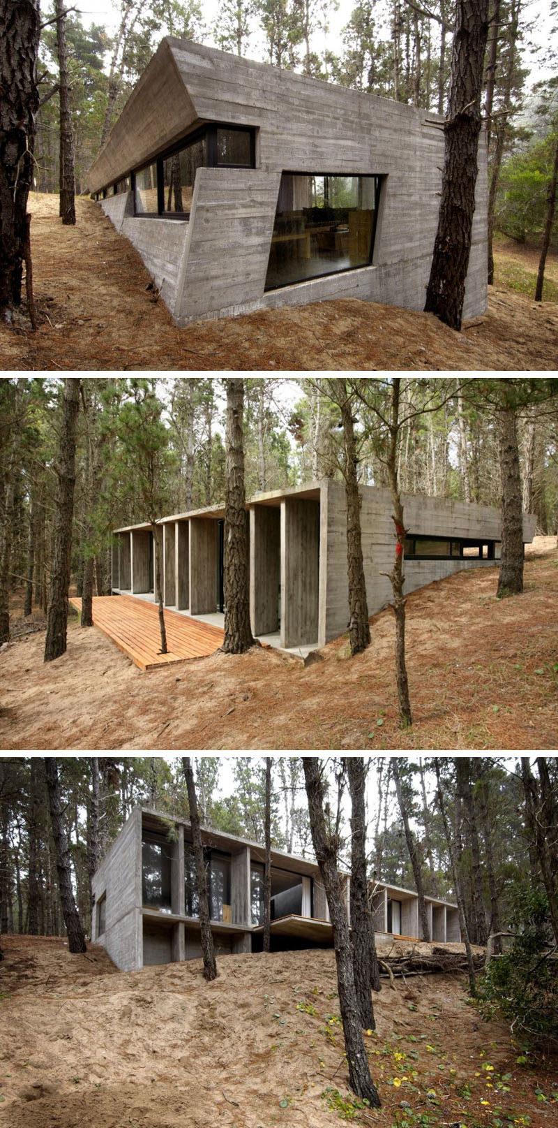 18 Современный дом в лесу // Этот бетонный дом контрастирует с естественными элементами леса, которые его окружают. #ModernHouse #ModernArchitecture #HouseInForest #HouseDesign