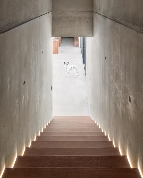 Современный бетонный дом с деревянной лестницей со скрытой светодиодной подсветкой.