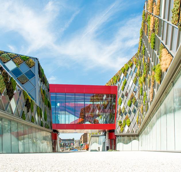 Эта ратуша в Бельгии покрыта лоскутным одеялом зеленого цвета