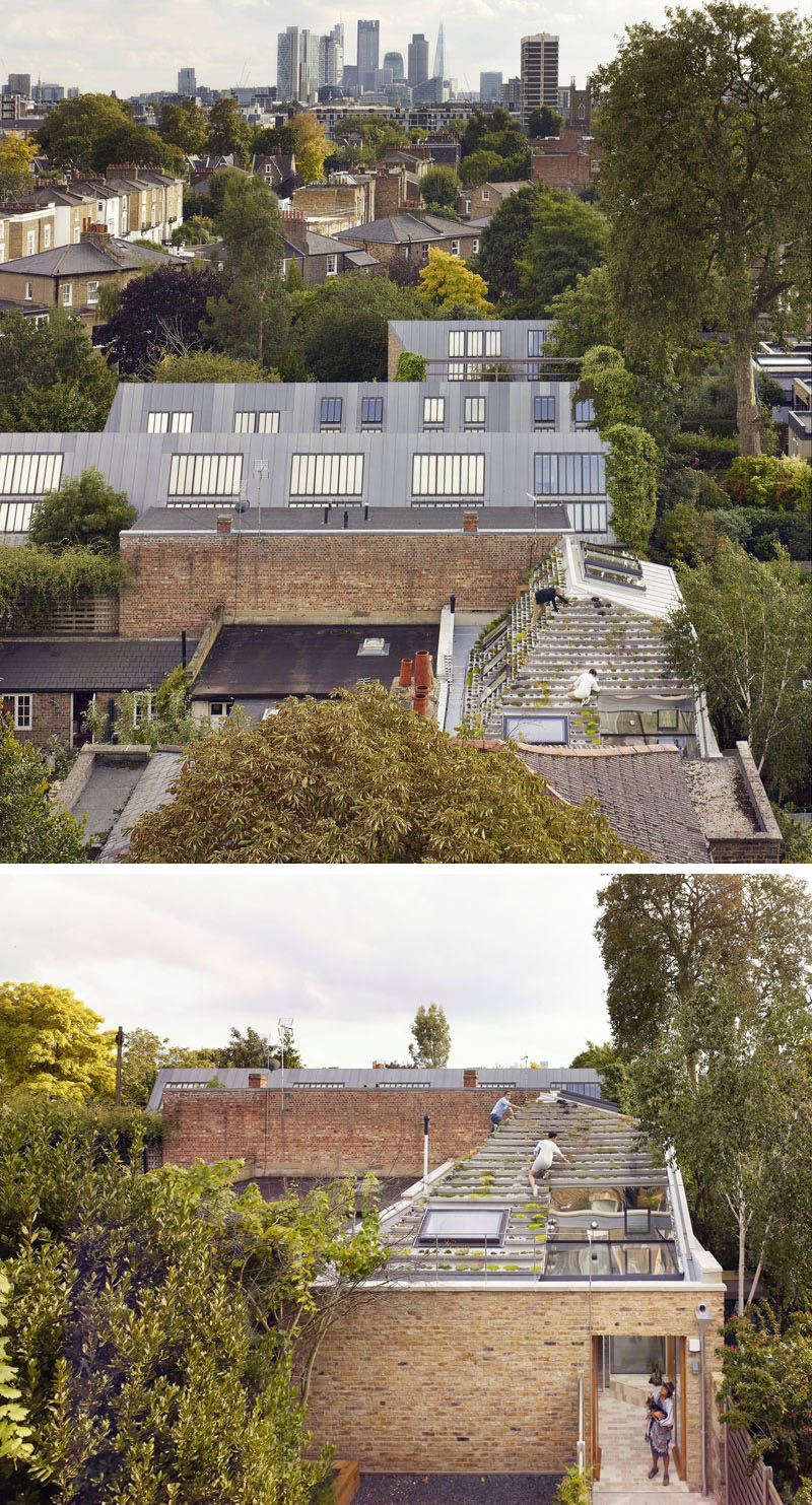 Эта зеленая крыша дома в Лондоне имеет ряд террасных горшков из нержавеющей стали, заполненных более чем 800 растениями. 