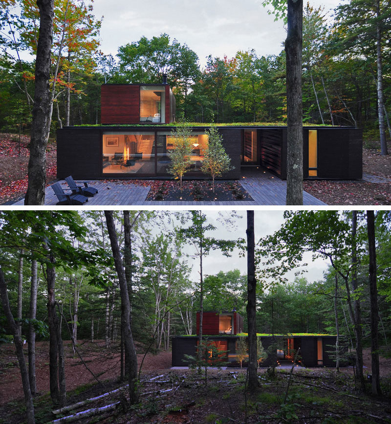 18 Современный дом в лесу // Большие деревья окружают этот дом с зеленой крышей, расположенной глубоко в лесу. #ModernHouse #ModernArchitecture #HouseInForest #HouseDesign