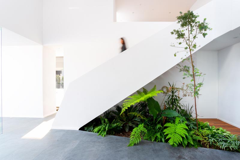 Зеленая густая растительность этого внутреннего сада контрастирует с черными каменными полами и дополняет деревянную дорожку в вестибюле дома. #IndoorGarden #StairDesign #IndoorPlants #InteriorDesign