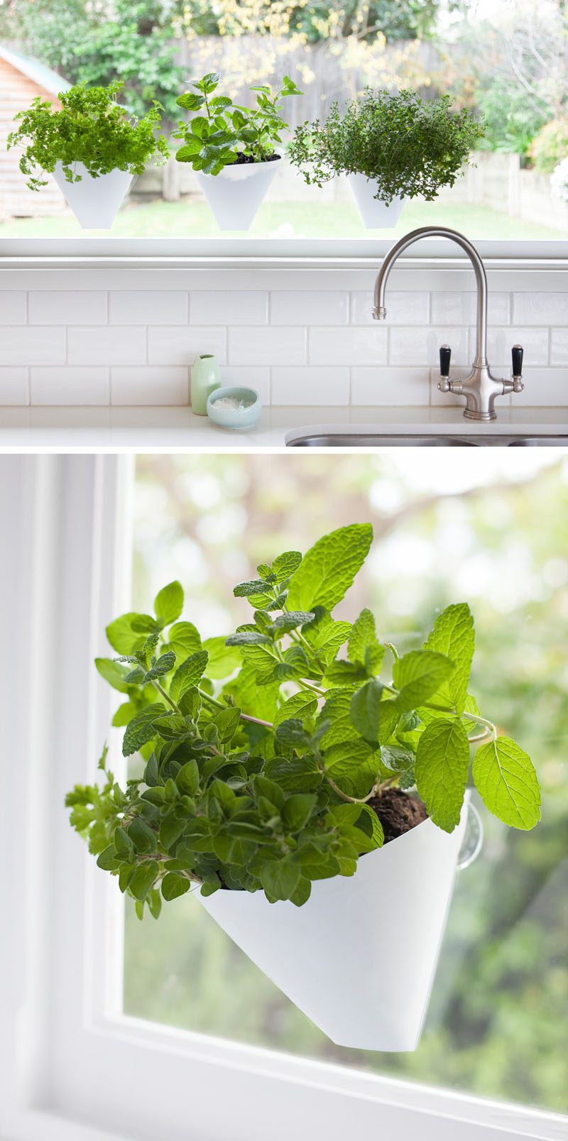 Идеи для внутреннего сада - повесьте свои растения на потолок & amp; Стены // Эти кашпо присоски к окну.