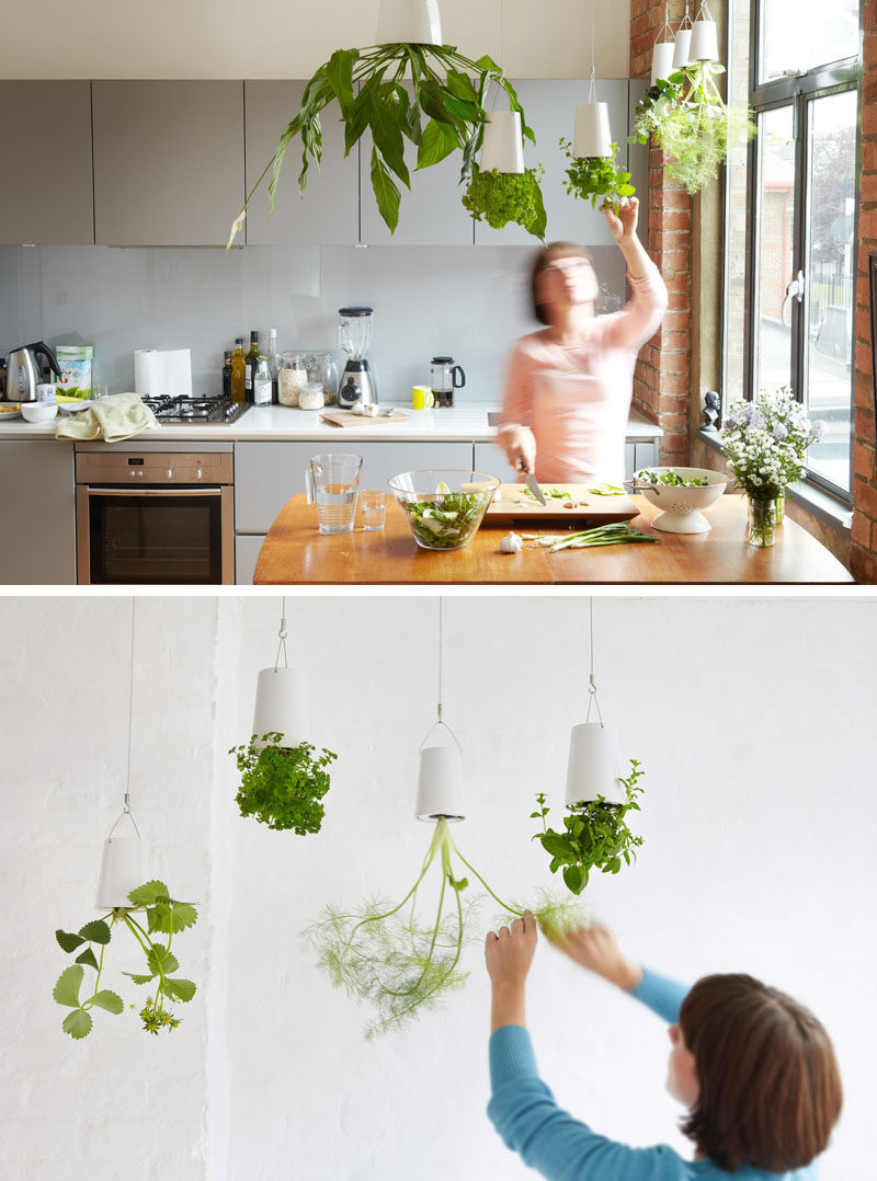 Идеи для внутреннего сада - повесьте свои растения на потолок & amp; Стены // Сделайте заявление и потрясите своих гостей подвешенными вверх дном горшками. Технология сохраняет почву и воду, позволяя вашим растениям расти.
