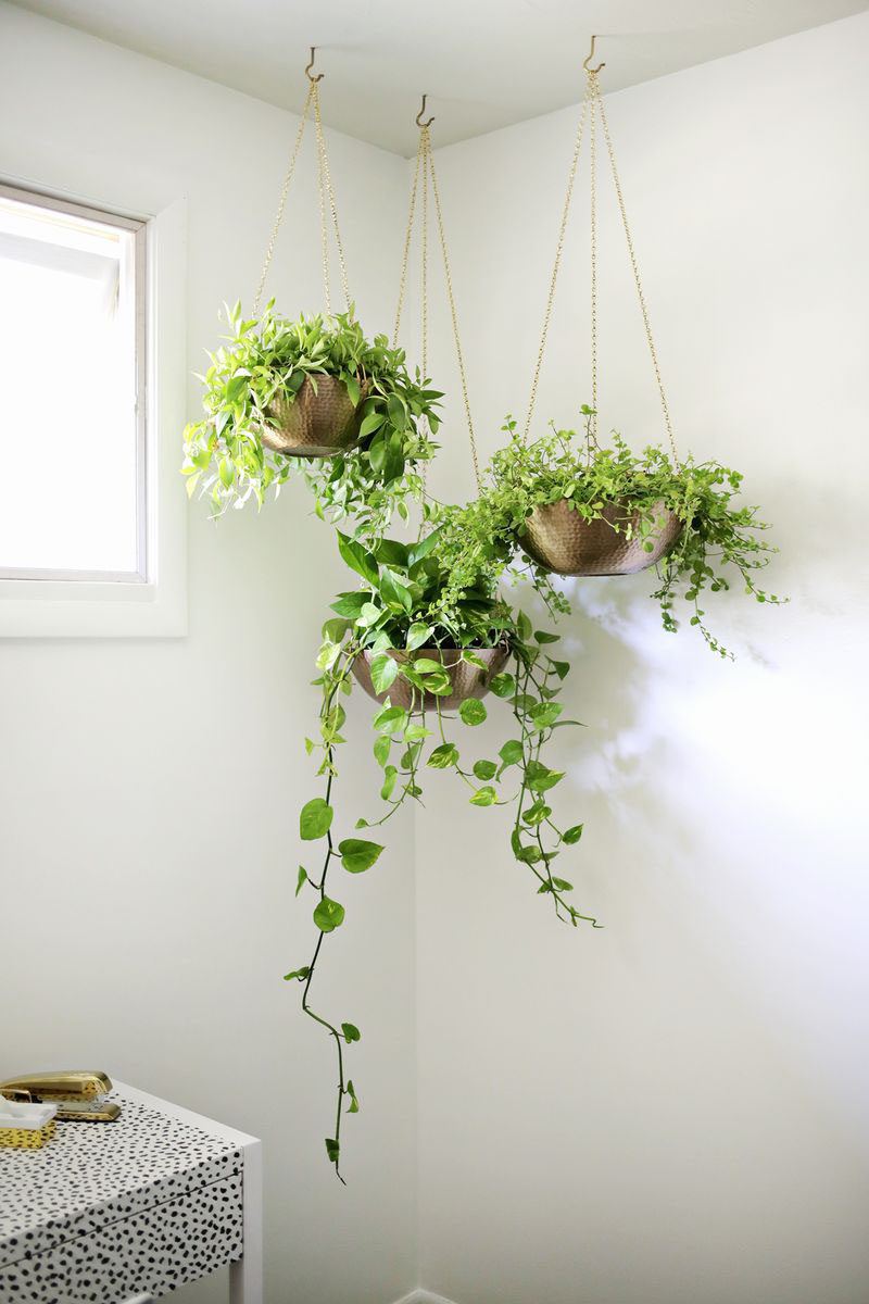 Идеи для внутреннего сада - повесьте растения на потолок и; Стены // Создайте свой собственный современный набор подвесных кашпо, идеально подходящий для угла любого помещения.