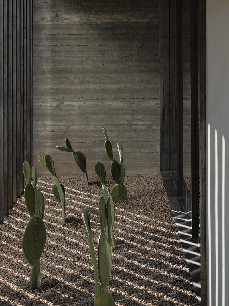 Современный дом с бетонными стенами из досок и ландшафтным дизайном в пустыне.