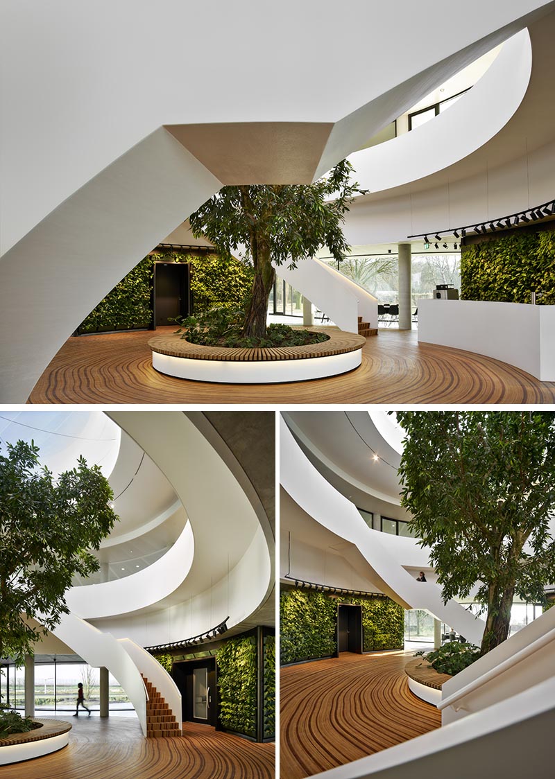 Деревянный пол этого офисного атриума был спроектирован так, чтобы изображать годичные кольца дерева. #WoodFloor #FlooringIdeas # ArtisticFlooring # Скульптурные полы #GreenWalls
