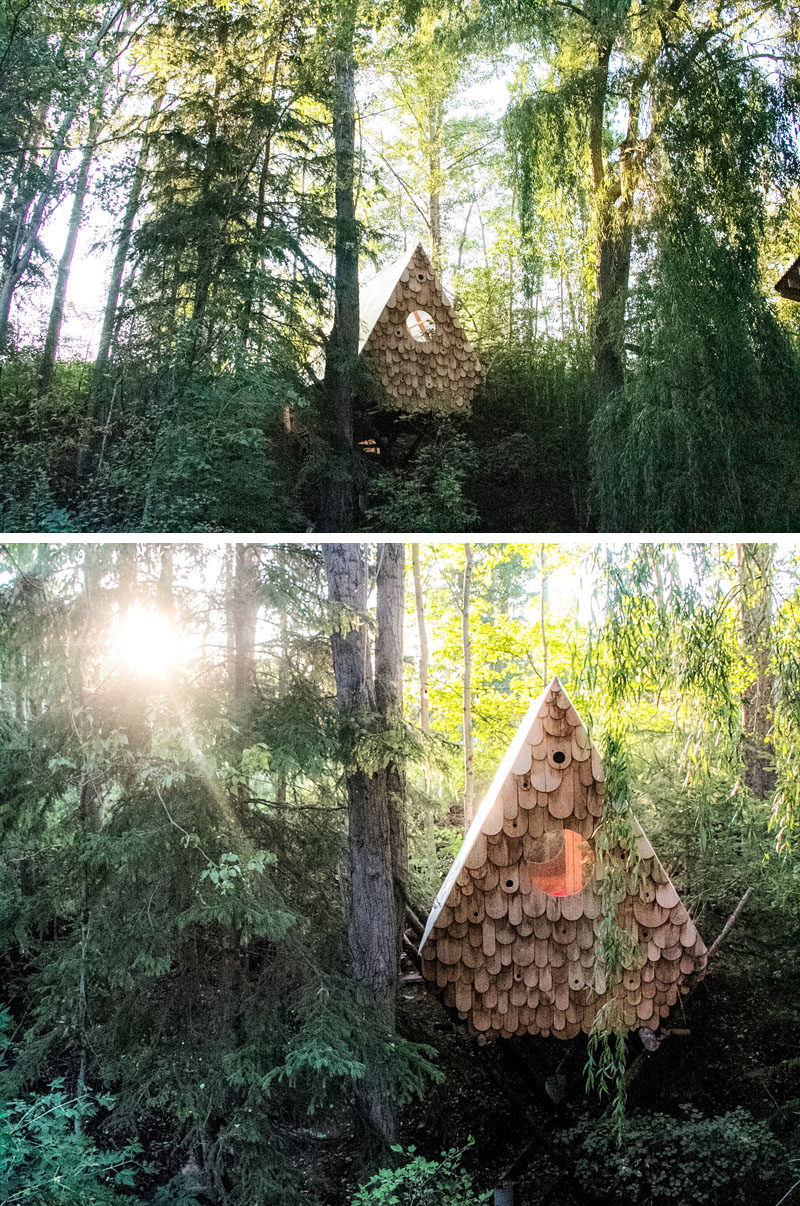 Студия North спроектировала Birdhut, верхушку деревьев, которая находится в кроне дерева и может вместить двух человек, а фасад имеет двенадцать скворечников. # Домик # Хижина # Птичий домик 