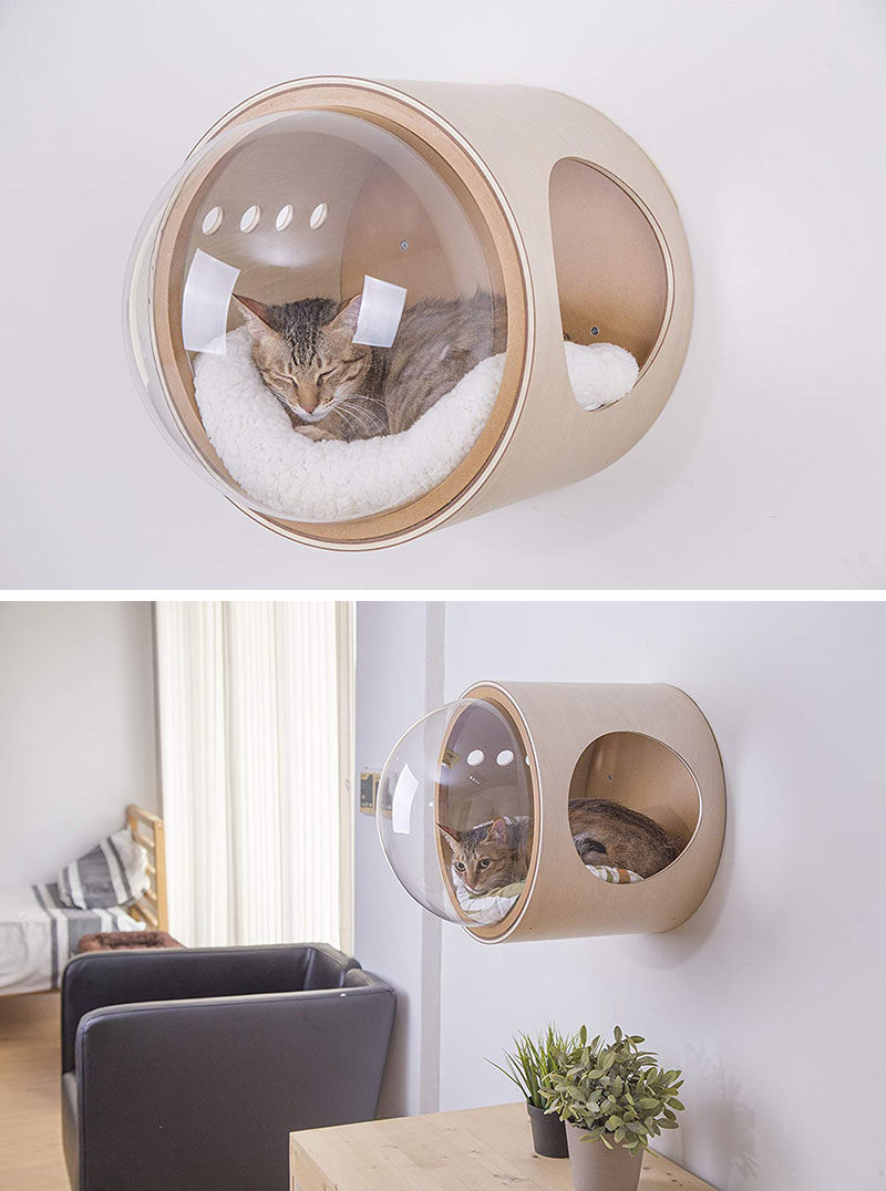 MYZOO создали серию космических кораблей, серию забавных и современных кроваток для кошек, плюс одна может быть закреплена на стене. #CatBed #ModernCatBed #WallMountedCatBed