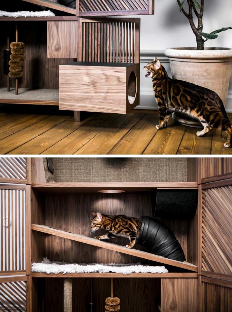 Cat Flat - это современный трехуровневый шкаф, предназначенный для кошек. Он имеет различную фактуру, когтеточки, щетки, отверстия и туннели, а также гамак. # КошкаМебель # КошкаКабинет # ДомашняяМебель # Кошки # МебельДизайн # Дизайн