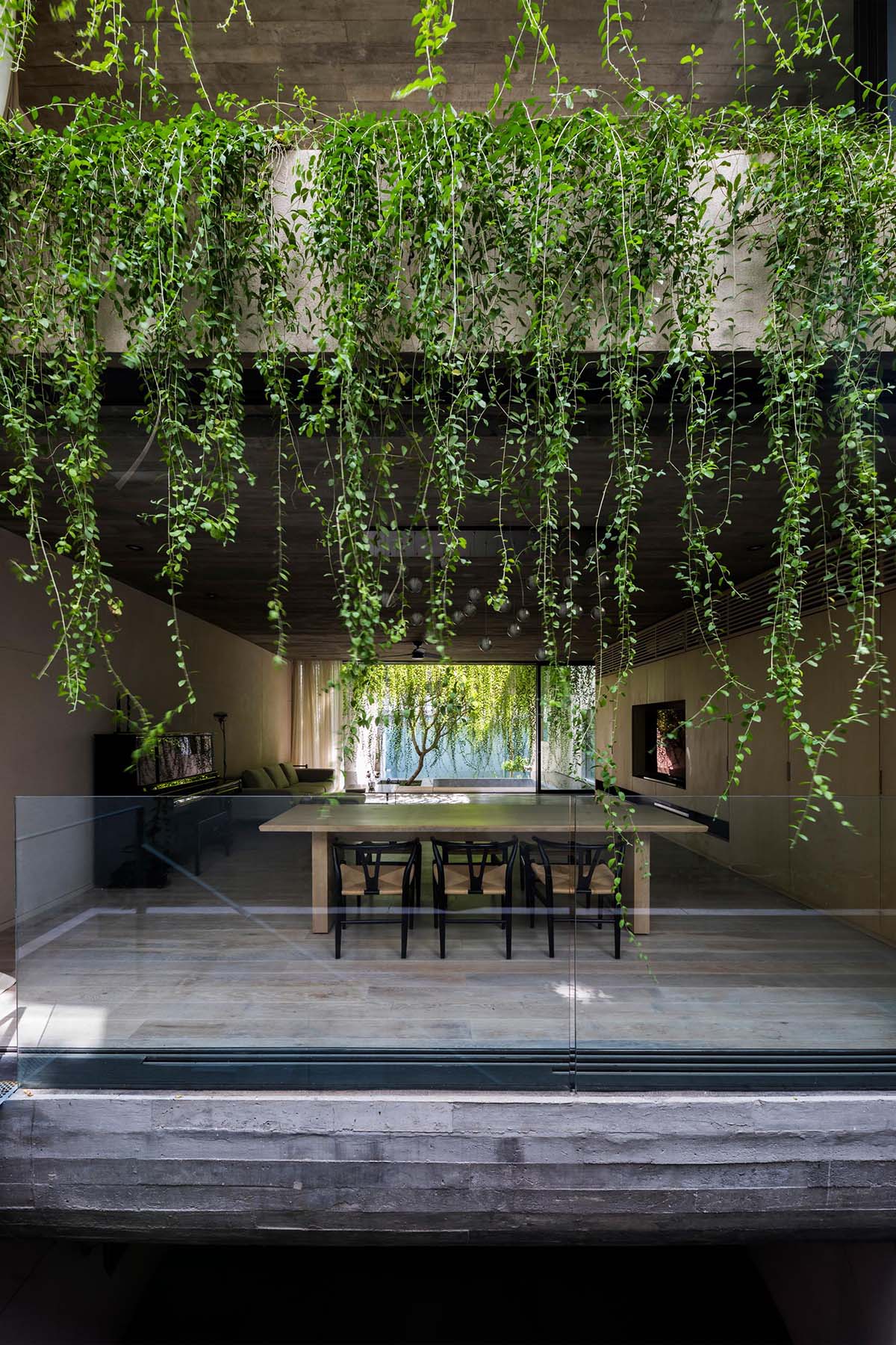 Современный бетонный дом с нависающими растениями.