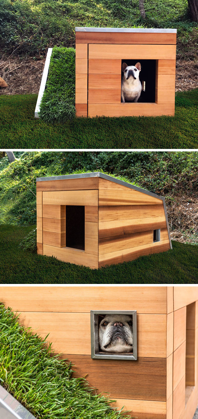  Студия Schicketanz спроектировала современный Дом мечты для собак с деревянной конструкцией, хранилищем для игрушек и закусок, смесителем, активируемым движением, и вентилятором на солнечной энергии. #DogHouse #ModernDogHouse # Архитектура # Дизайн 