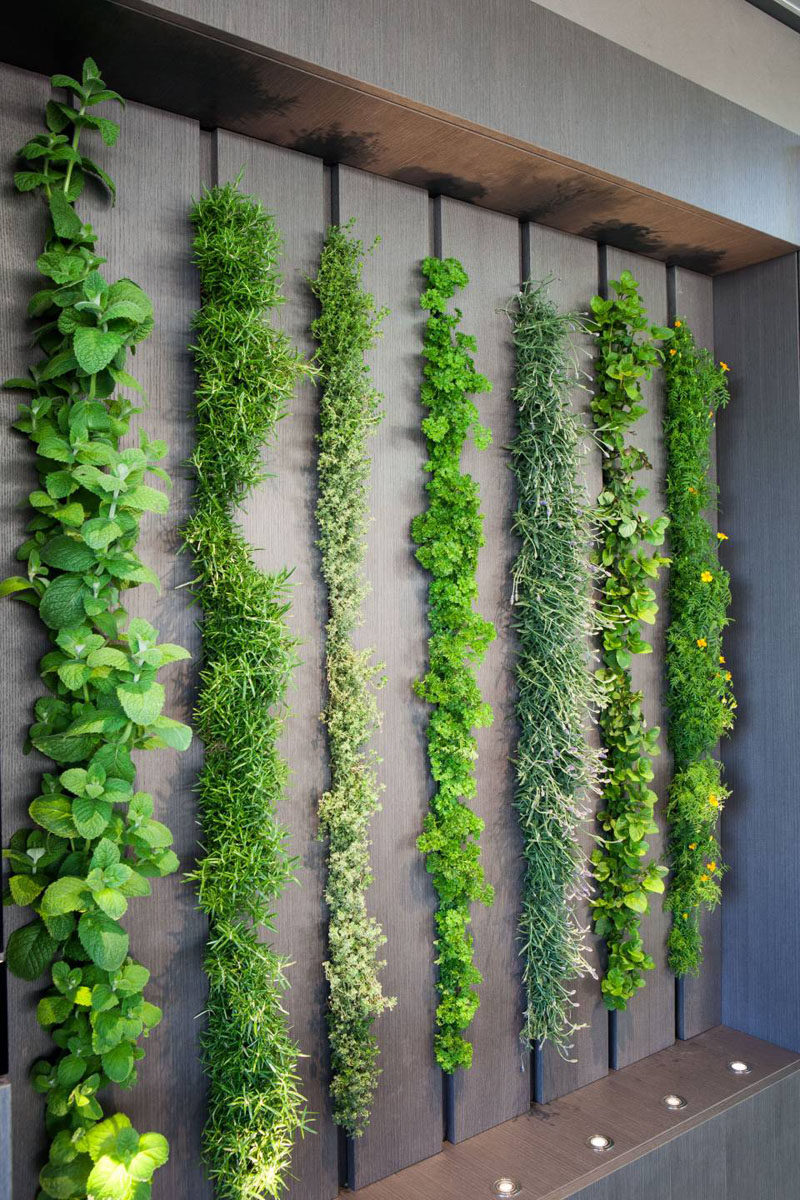 Эту живую стену на кухне можно использовать как комнатный сад с травами #LivingWall #HerbGarden #Kitchen