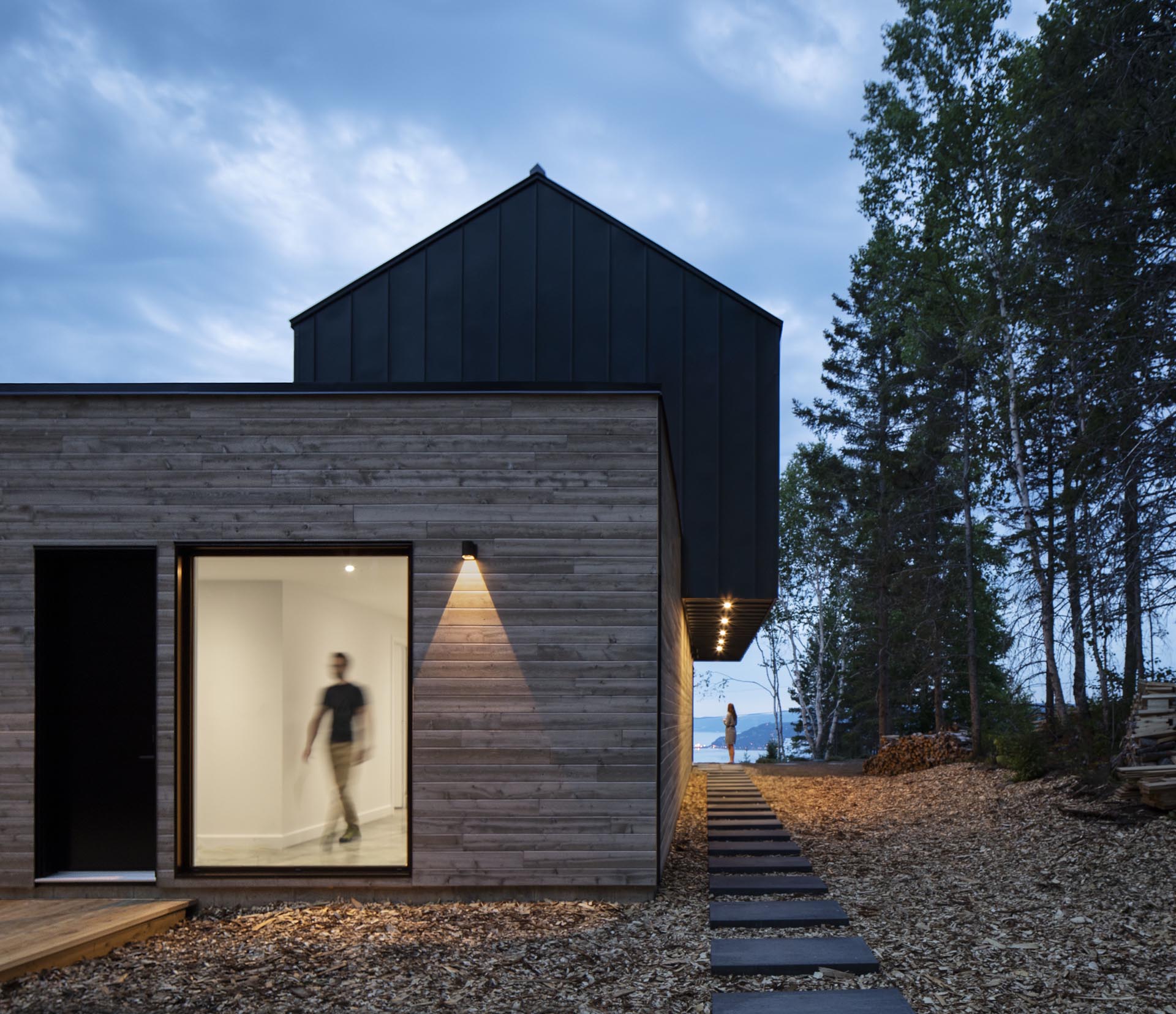 Современный дом с фасадом из черного металла и дерева.
