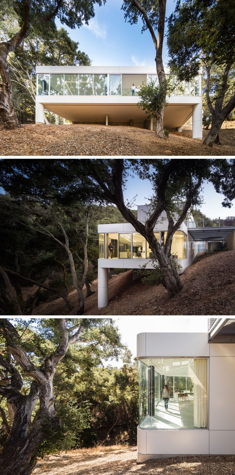  Компания Craig Steely Architecture спроектировала современный дом в Купертино, Калифорния, который стоит перед навесом густой дубовой рощи у подножия гор Санта-Крус. #ModernArchitecture #ModernHouse 