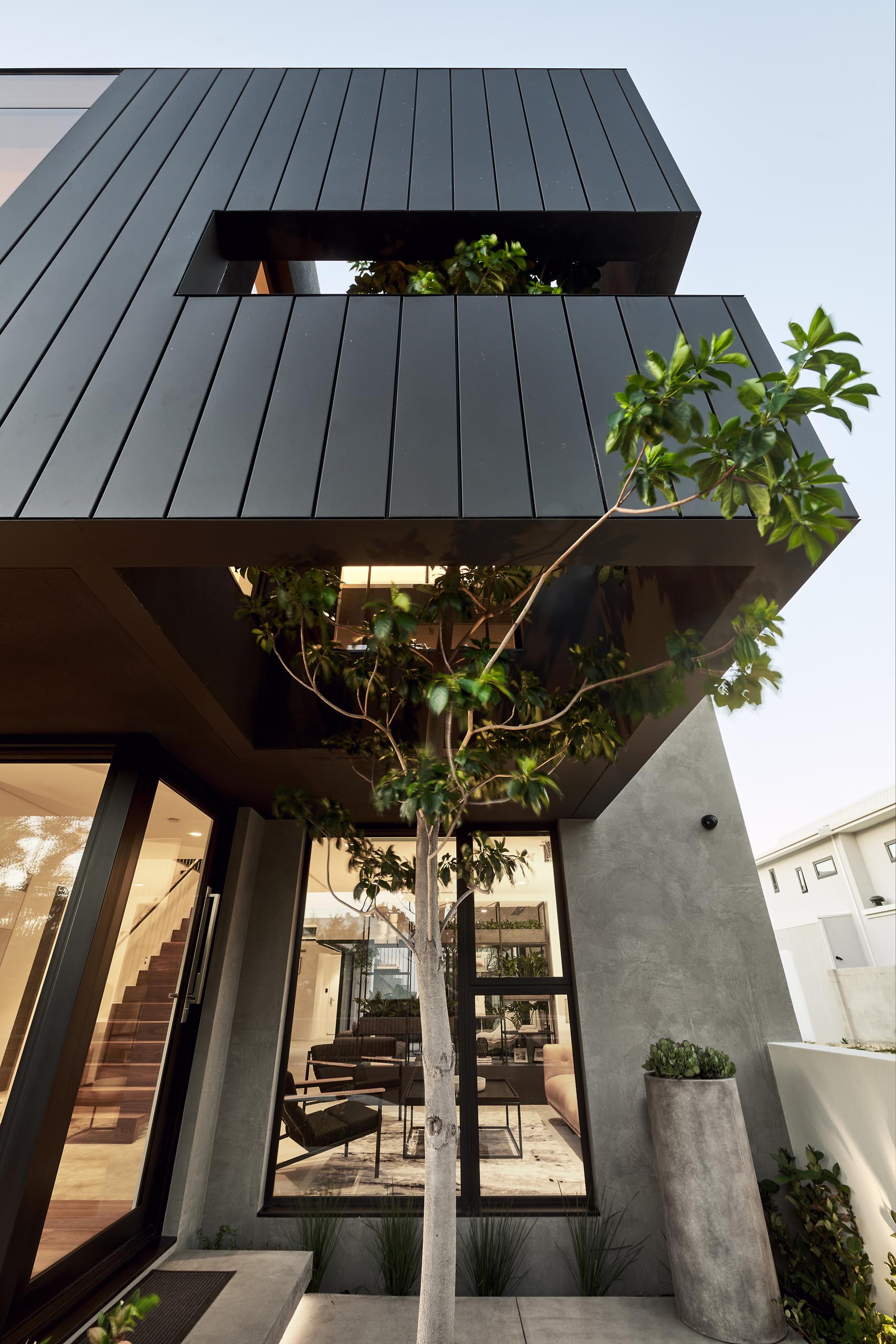 В матовой черной обшивке этого современного дома есть отверстие, через которое дерево может вырасти изнутри.