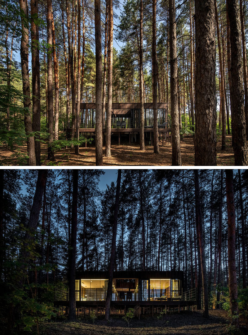 Этот современный гостевой дом интегрирован в окружающий сосновый лес благодаря патио и панорамному остеклению. # Архитектура # Окна #ModernGuestHouse