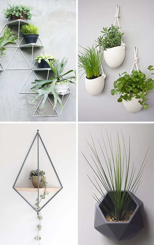Вот 10 примеров стильных и современных настенных вазонов, которые помогут вам перенести растения с поверхности на стены.