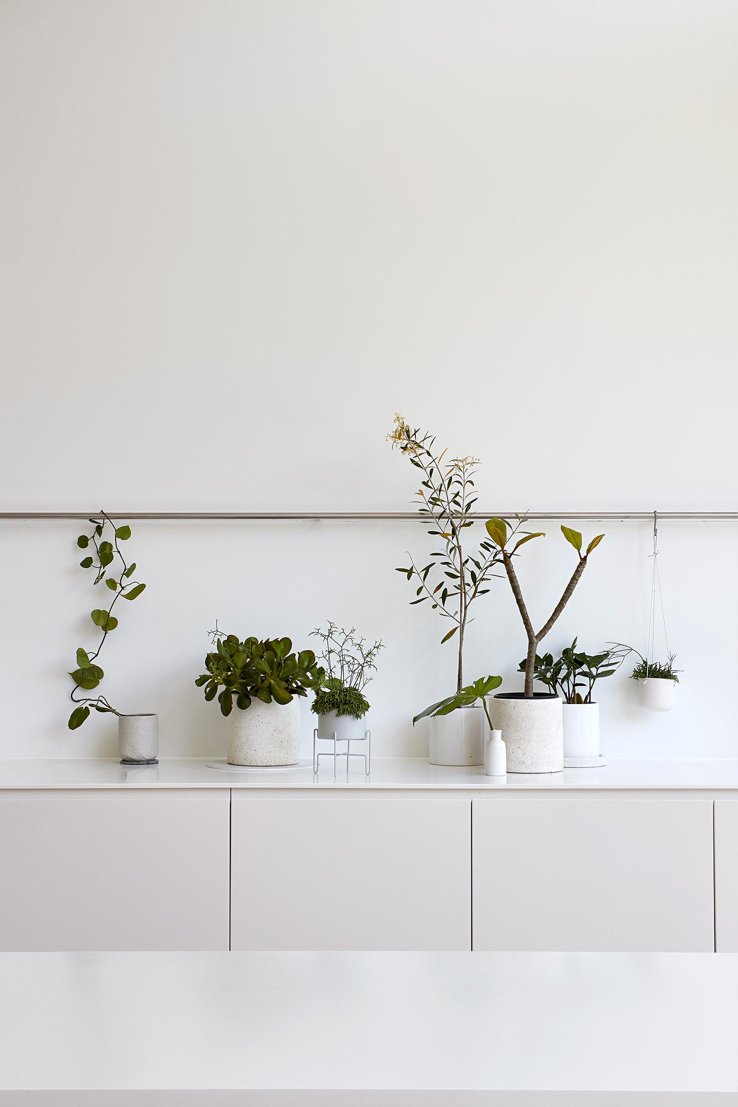 Современные кухонные шкафы с горшечными растениями в качестве украшения.