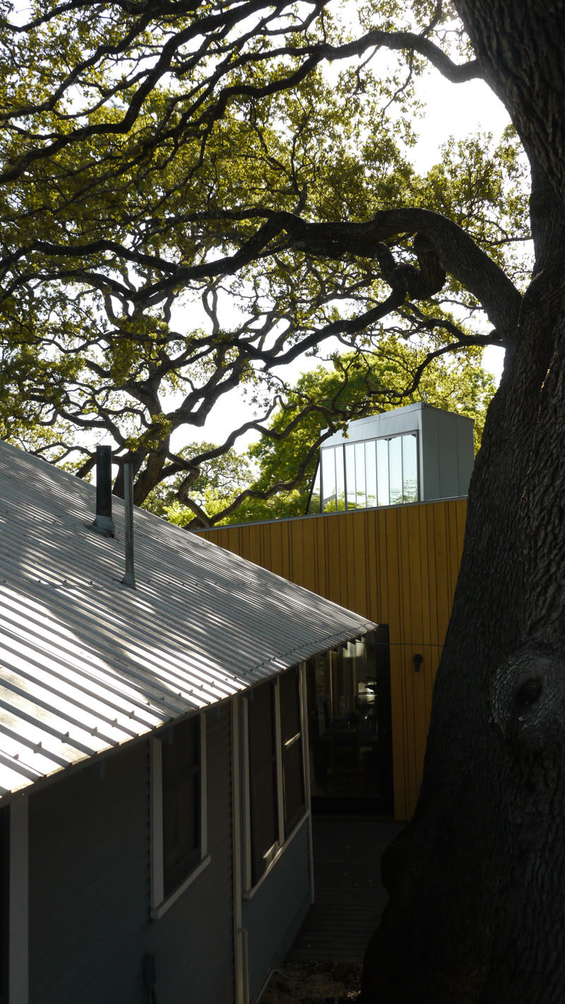 Компания Murray Legge Architecture спроектировала современное дополнение к бунгало 1920-х годов в Центральном Остине, штат Техас, которое окружает существующий 150-летний дуб. # Архитектура # МодернДополнение # МодернАрхитектура