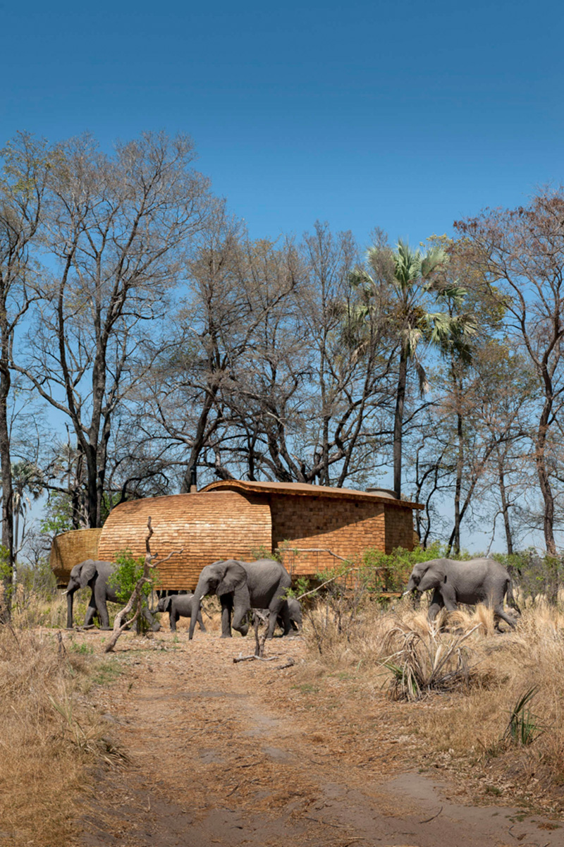 Сандибе Окаванго Safari Lodge от Михаэлиса Бойда и Ника Плевмана