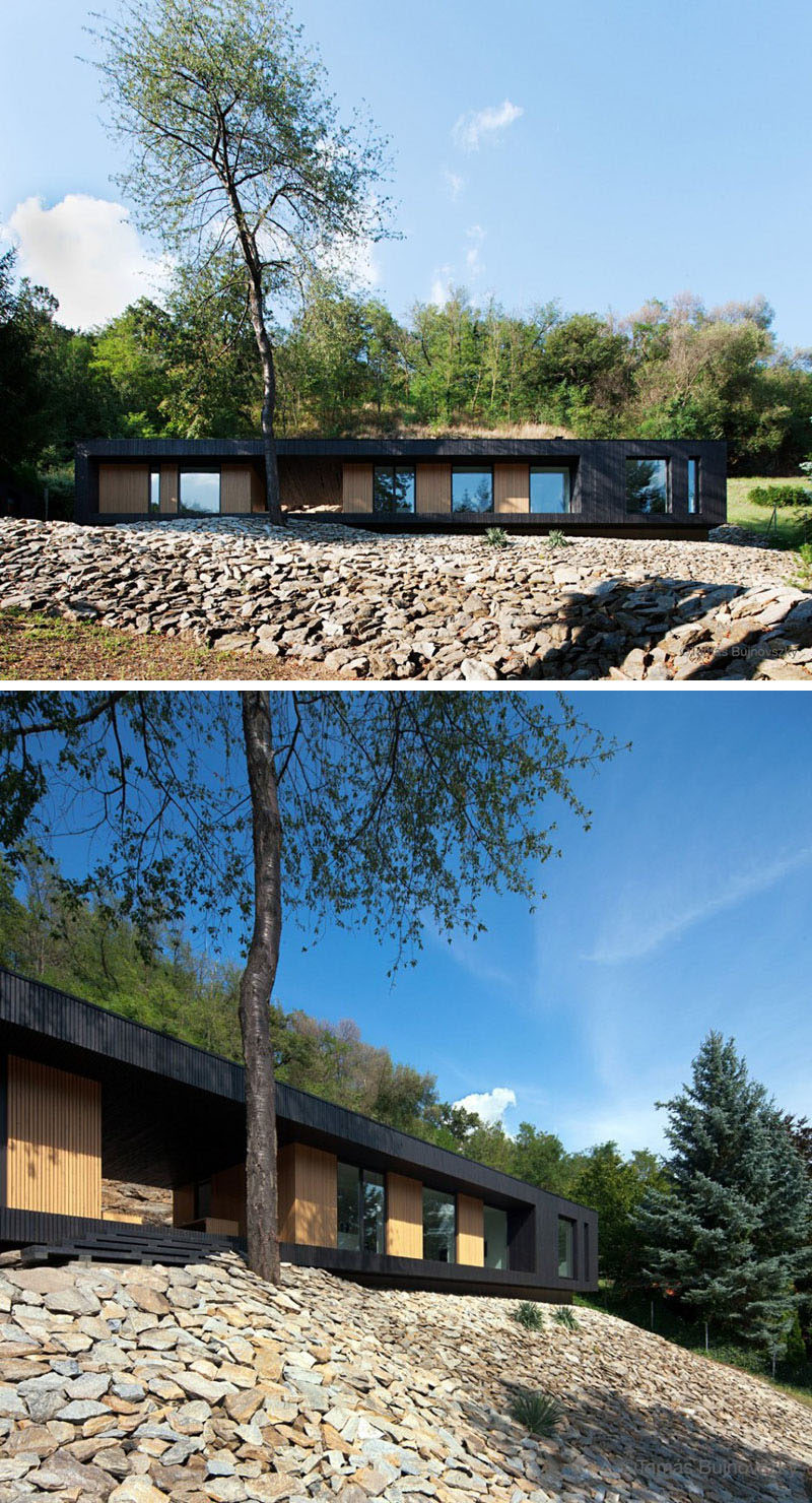 15 одноэтажных современных домов | Черное дерево контрастирует с сайдингом из светлого дерева, создавая современный одноэтажный дом.