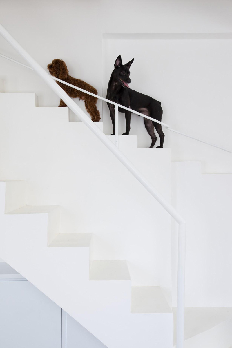 В этом доме есть отдельная небольшая лестница для маленьких собак