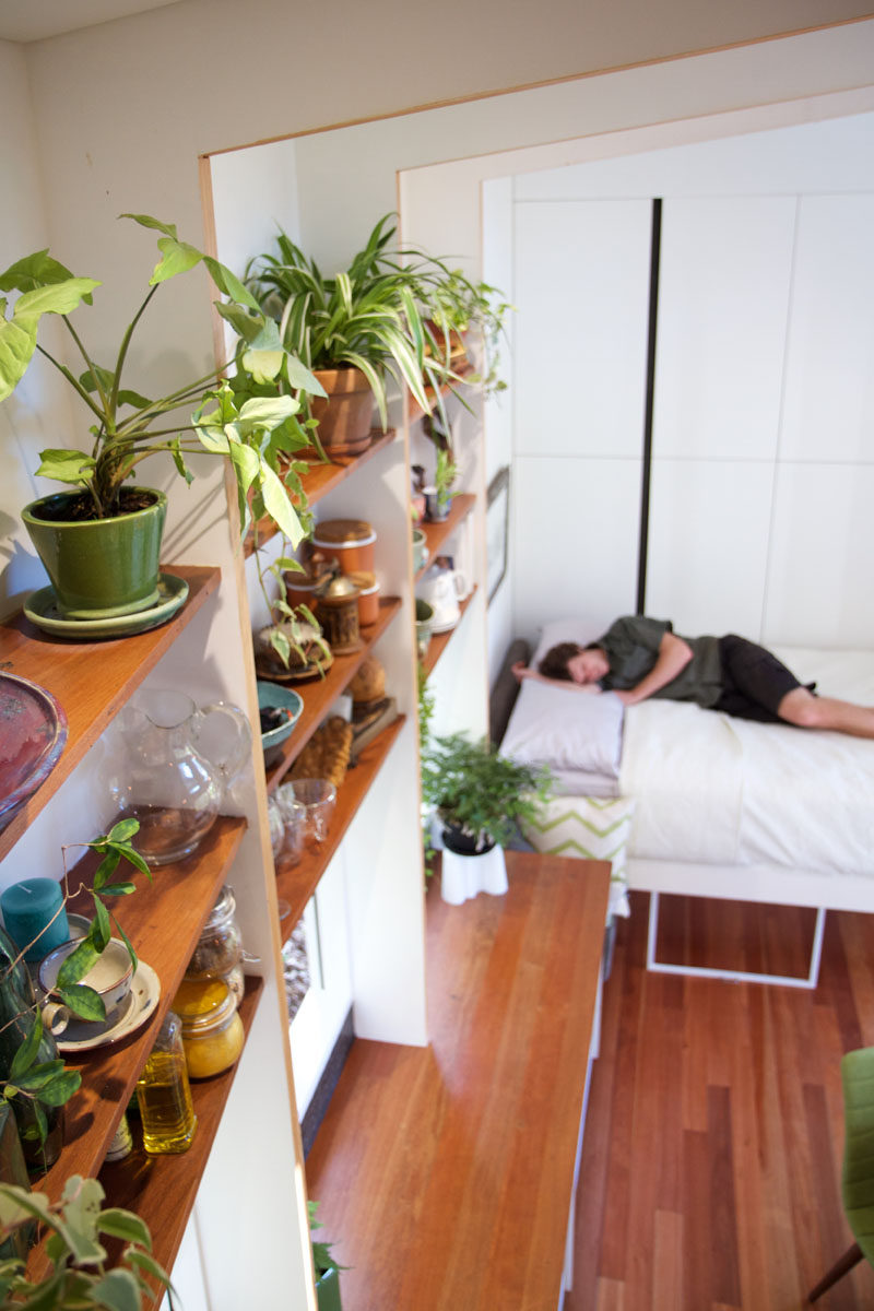  В этом крошечном домике в Австралии есть выдвижная кровать для экономии места 