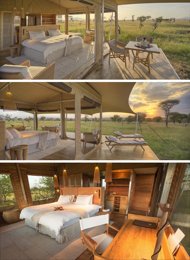 В сафари-лагере Roving Bushtop Safari Camp есть все домашние удобства, и гости могут иметь собственное убежище в окружении широких равнин. #SafariCamp # Серенгети
