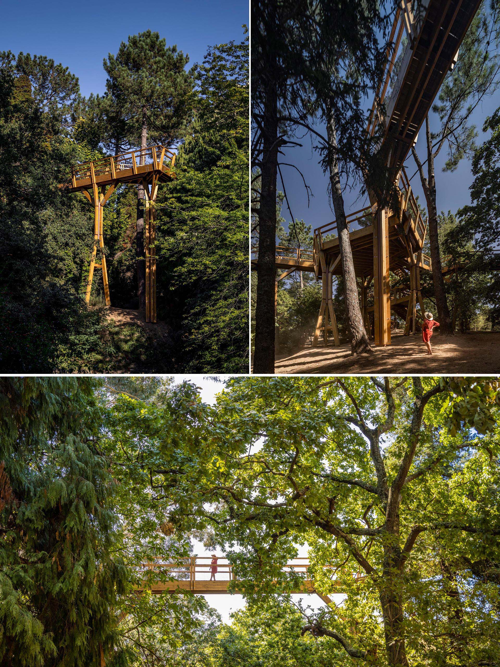 Прогулка по кронам деревьев в Португалии дает посетителям уникальный вид.