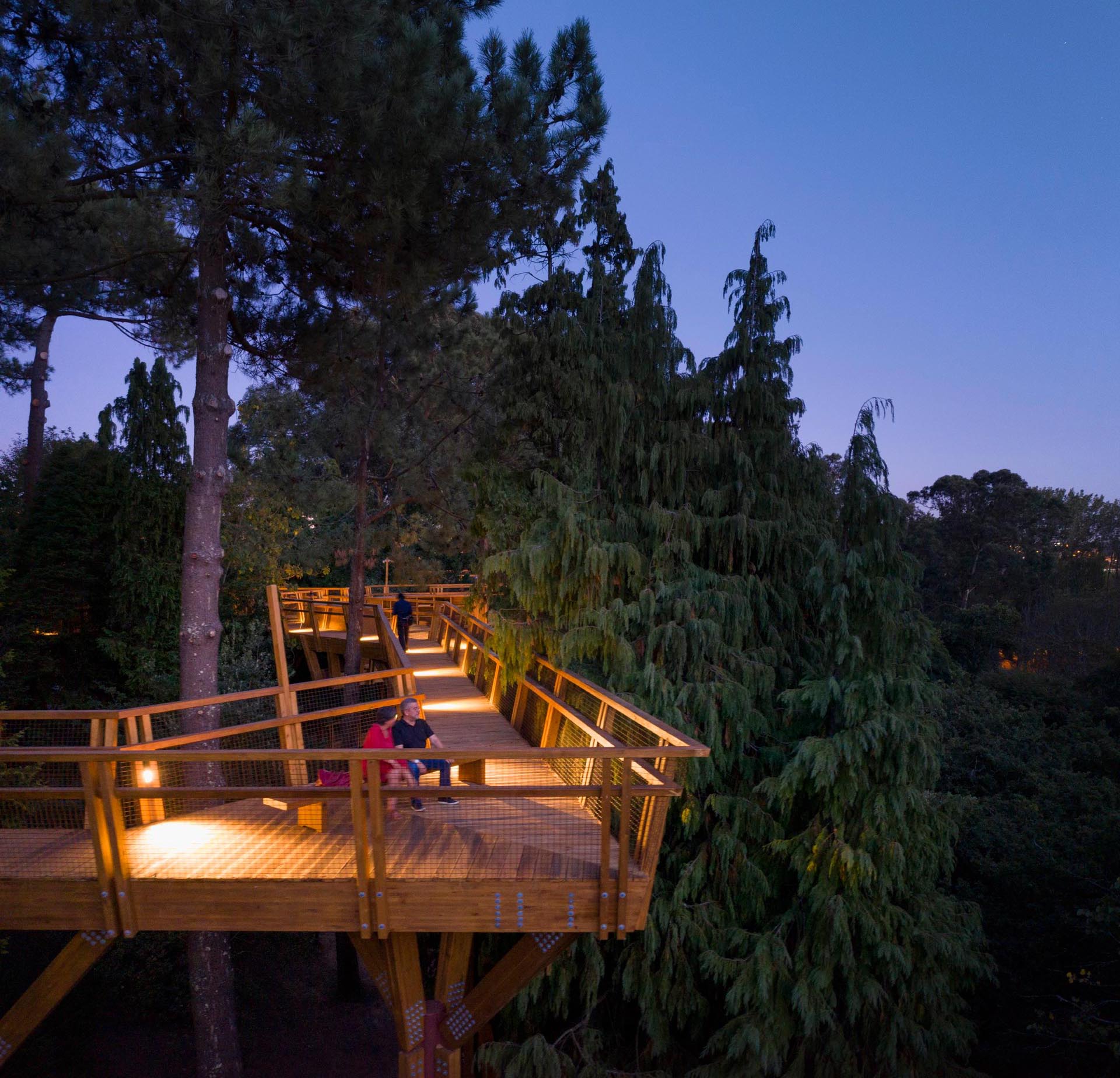 Прогулка по кронам деревьев в Португалии имеет освещение для ночных прогулок.
