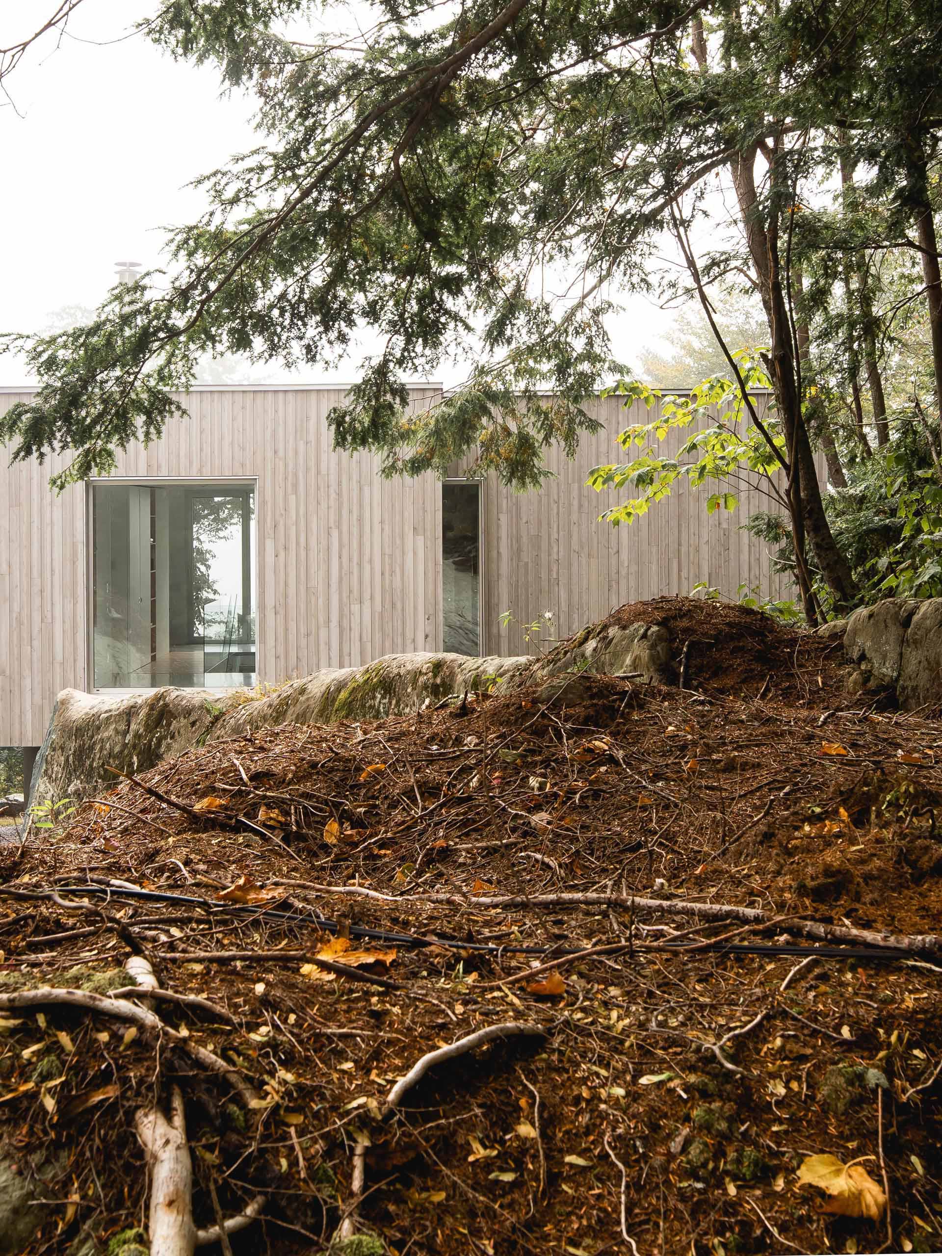 Этот современный дом в лесу облицован восточным белым кедром, который был предварительно обработан средством, ускоряющим процесс поседения.