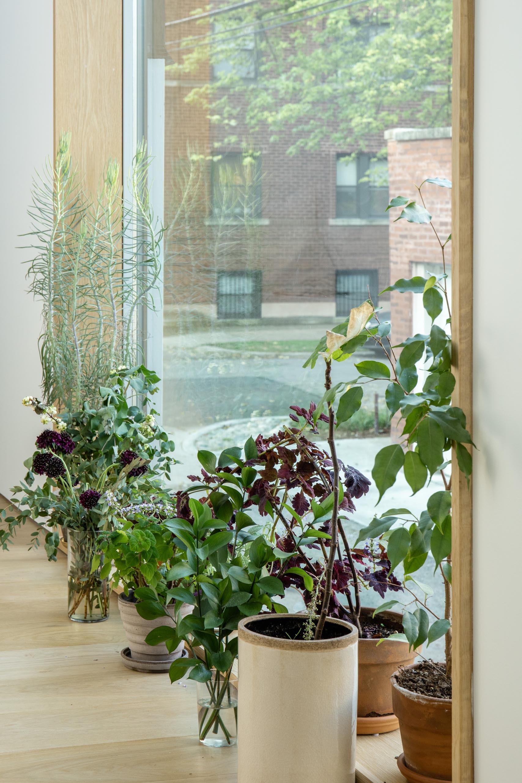 Окно в деревянной раме с растениями.